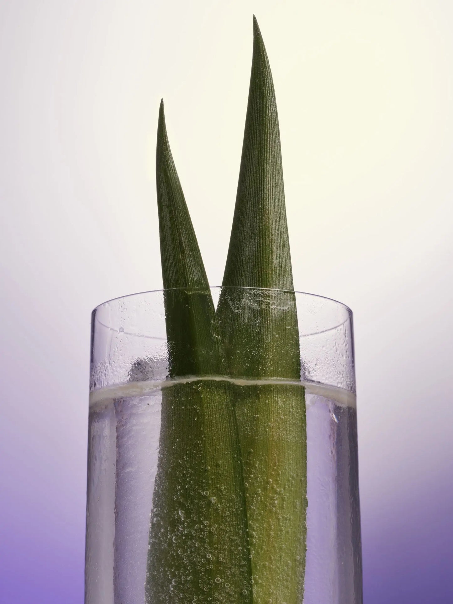 SKINNY COLADA